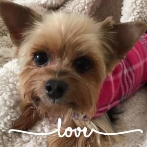 Meet your Posher, Michelle